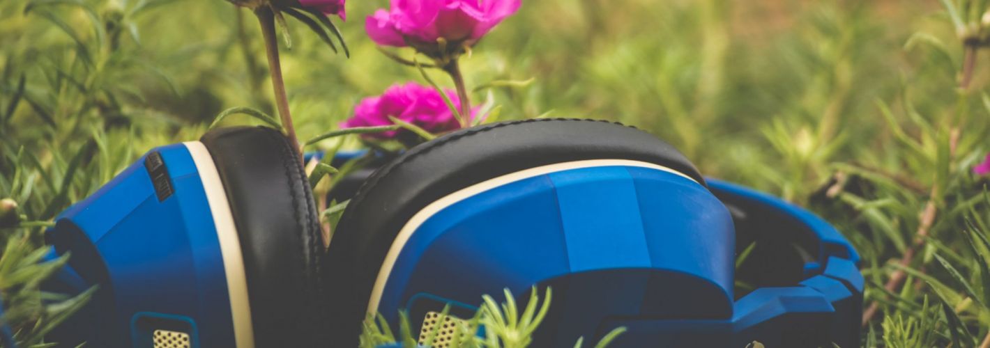 Blue headphones laying in grass with pink flowers blooming